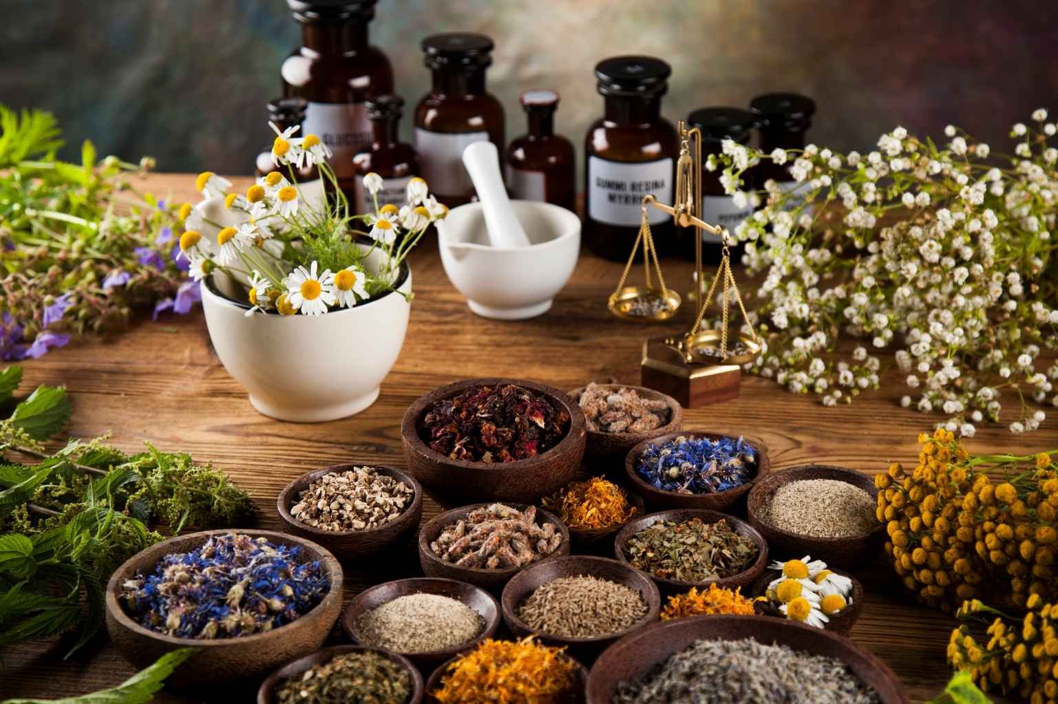 Herbal Industry.jpg