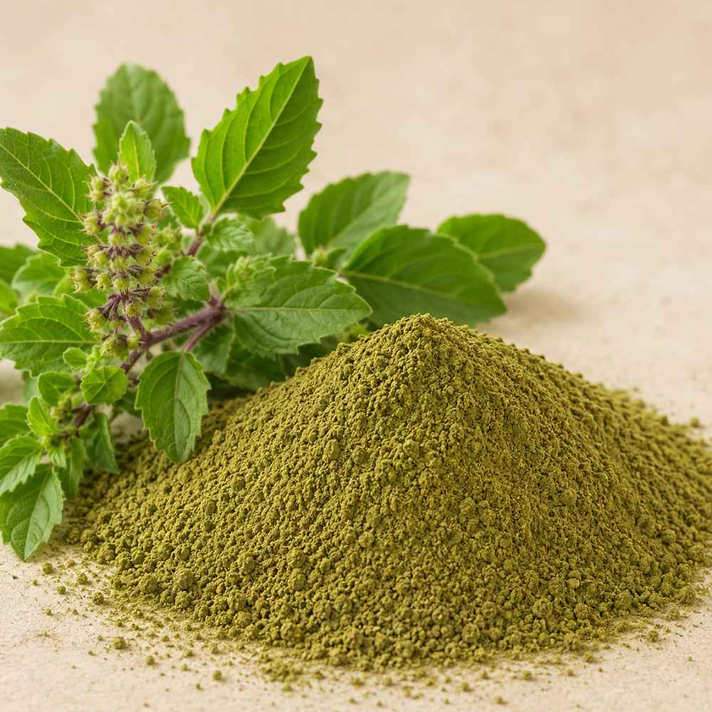Tulsi Powder